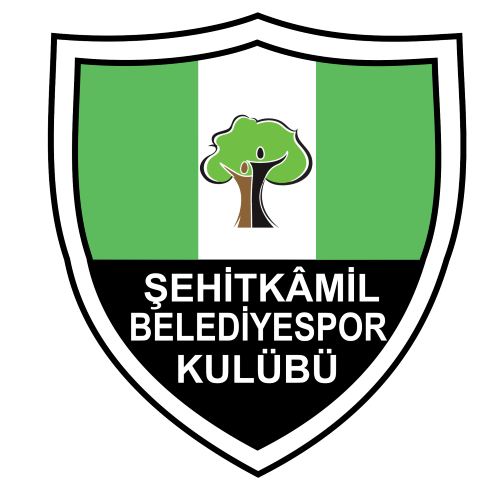 http://www.futbollogo.com/resimler/logolar/sehitkamilbelediyespor.png