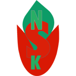 Nurtepe Spor Kulübü Logo