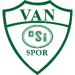 Van Dsi Spor Kulübü Logo
